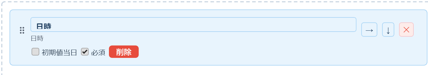 日時フィールドの設定